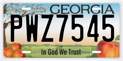GA license plate PWZ7545