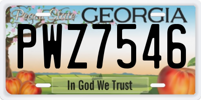 GA license plate PWZ7546