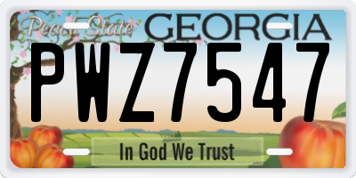GA license plate PWZ7547