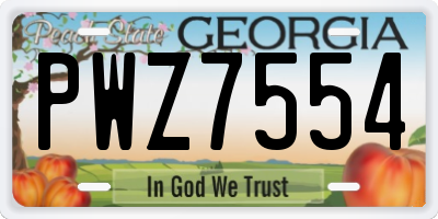 GA license plate PWZ7554