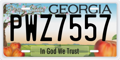 GA license plate PWZ7557