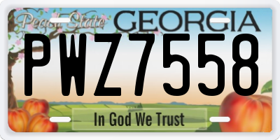 GA license plate PWZ7558
