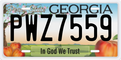 GA license plate PWZ7559