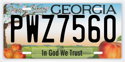 GA license plate PWZ7560
