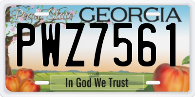GA license plate PWZ7561