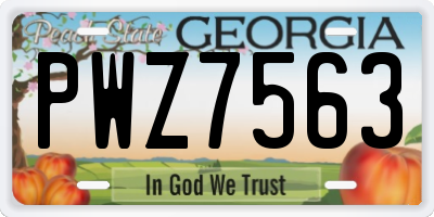 GA license plate PWZ7563