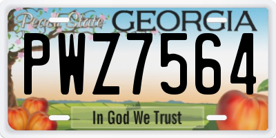 GA license plate PWZ7564