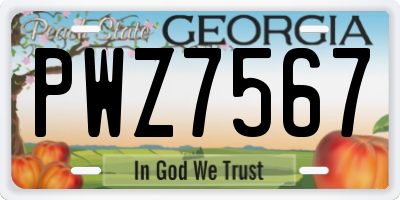GA license plate PWZ7567