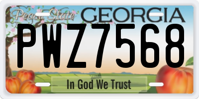 GA license plate PWZ7568