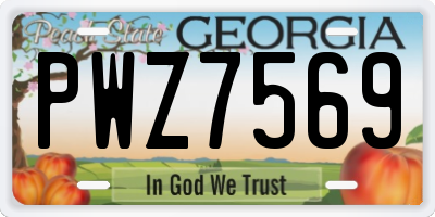 GA license plate PWZ7569