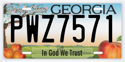 GA license plate PWZ7571