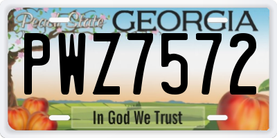 GA license plate PWZ7572