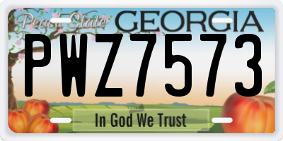 GA license plate PWZ7573
