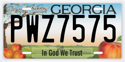 GA license plate PWZ7575