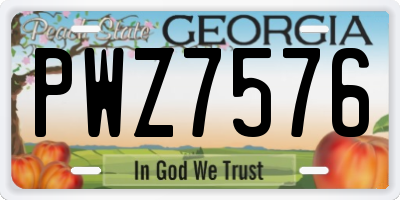 GA license plate PWZ7576