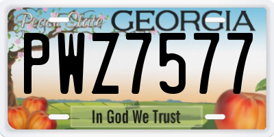 GA license plate PWZ7577