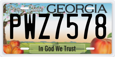 GA license plate PWZ7578