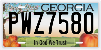 GA license plate PWZ7580