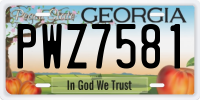 GA license plate PWZ7581