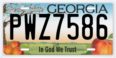 GA license plate PWZ7586