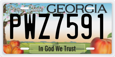 GA license plate PWZ7591
