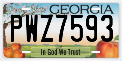 GA license plate PWZ7593