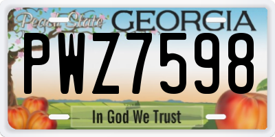 GA license plate PWZ7598
