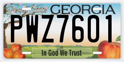 GA license plate PWZ7601