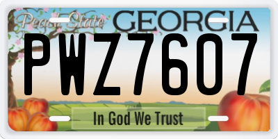 GA license plate PWZ7607