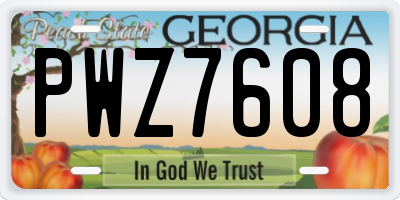 GA license plate PWZ7608