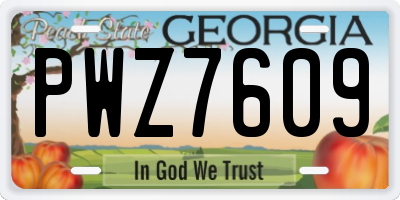 GA license plate PWZ7609