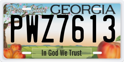 GA license plate PWZ7613