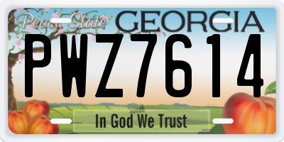GA license plate PWZ7614