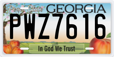 GA license plate PWZ7616