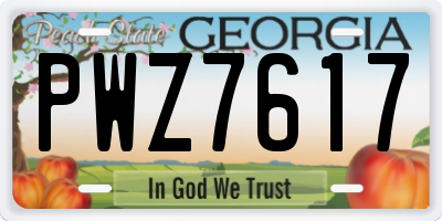 GA license plate PWZ7617