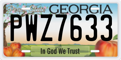 GA license plate PWZ7633