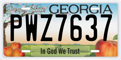 GA license plate PWZ7637