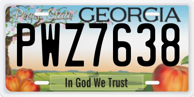 GA license plate PWZ7638