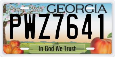 GA license plate PWZ7641
