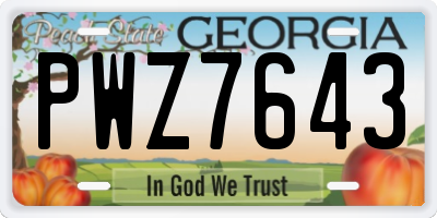 GA license plate PWZ7643