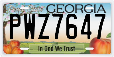 GA license plate PWZ7647