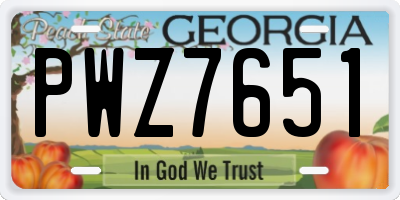 GA license plate PWZ7651