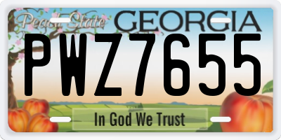 GA license plate PWZ7655