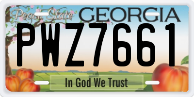 GA license plate PWZ7661