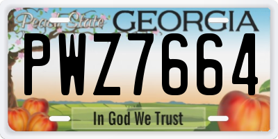GA license plate PWZ7664