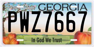 GA license plate PWZ7667