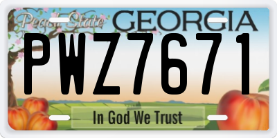 GA license plate PWZ7671