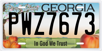 GA license plate PWZ7673