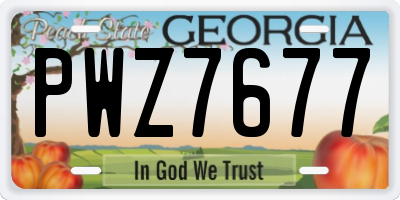 GA license plate PWZ7677