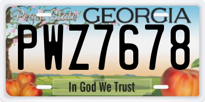 GA license plate PWZ7678